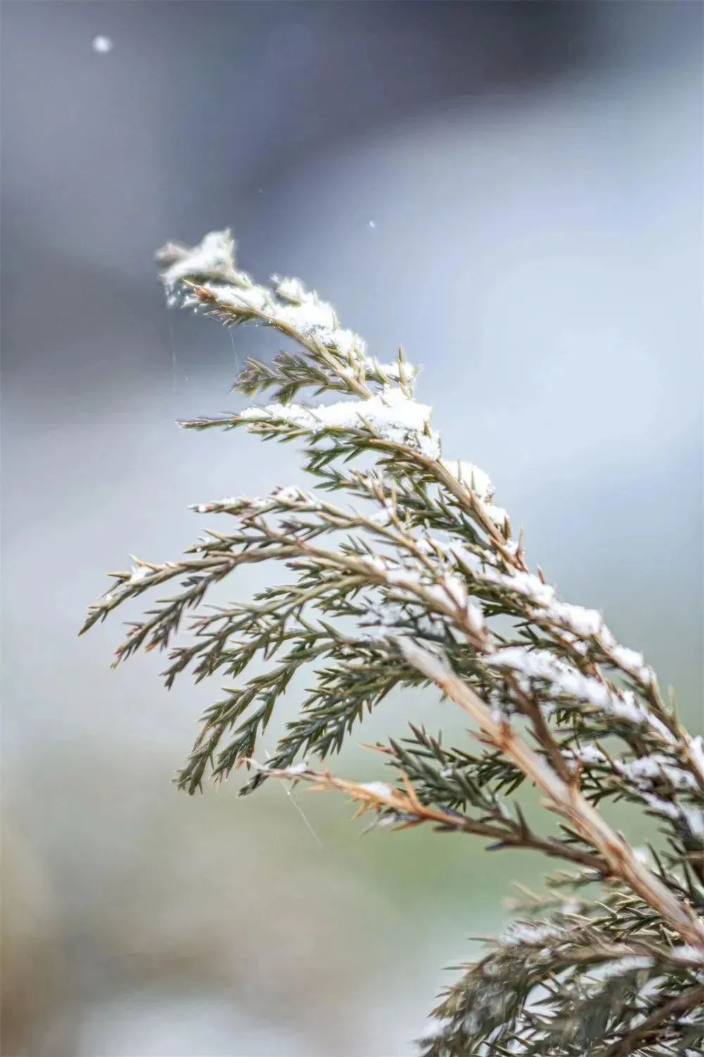 赵琳出镜:翟怡宁 石含玉让人爱上冬天此情此景的梦幻联动舞者x雪景x