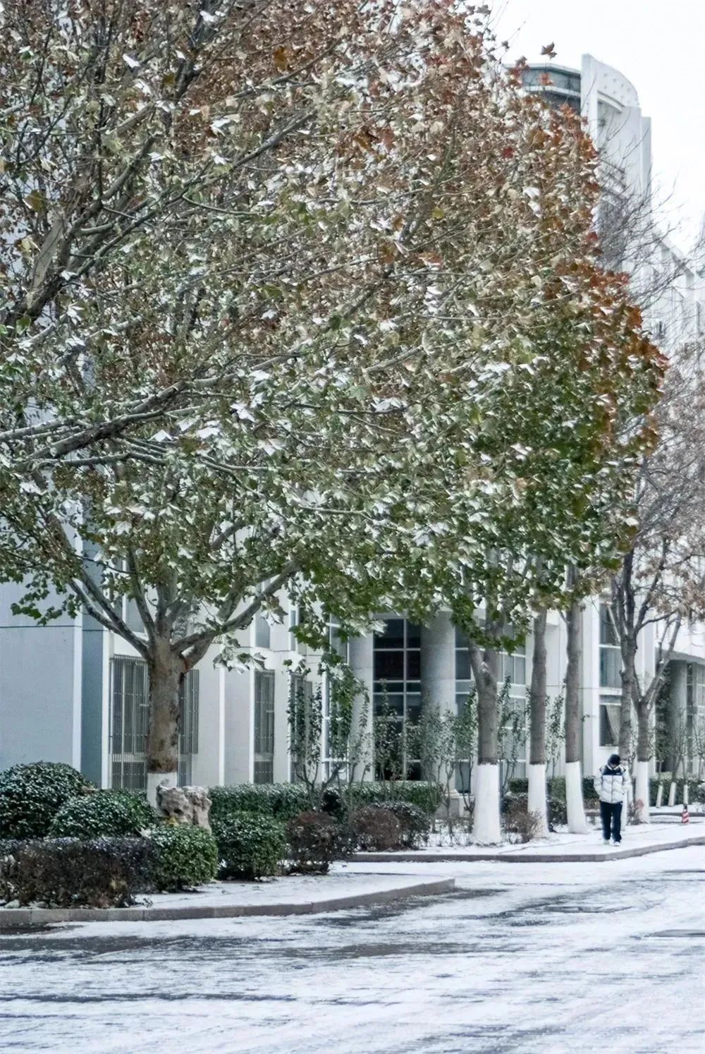 在天职师大,邂逅一场雪