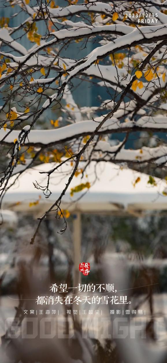 【晚安海报】希望一切的不顺,都消失在冬天的雪花里。晚安,郑州_澎湃号·政务_澎湃新闻-The Paper