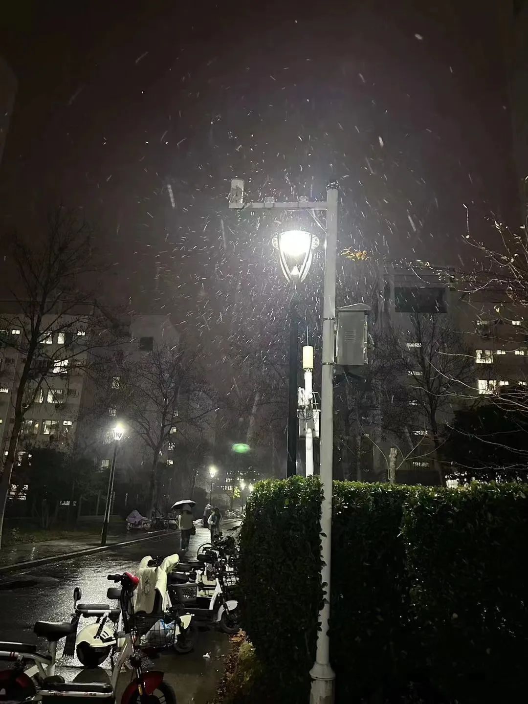 北京雨夹雪图片图片