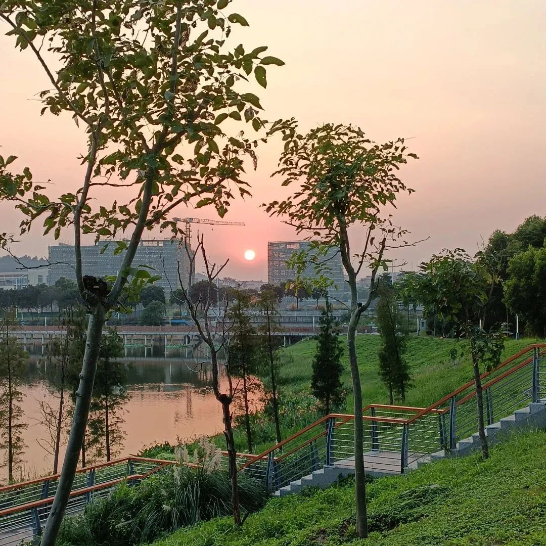 奔跑夕陽下的圖書館我們陪你們一起迎戰明天作者:初璟順德區容桂容裡