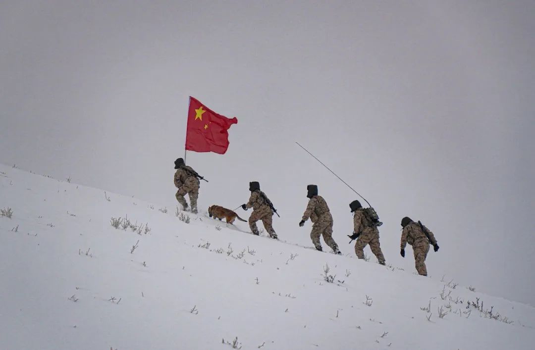 雪天军人站岗图片图片