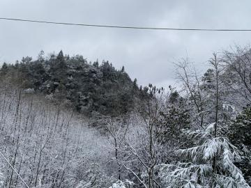 黔東南州凱里,雷山,丹寨,三穗,錦屏,天柱,從江,黔南州福泉等19個縣