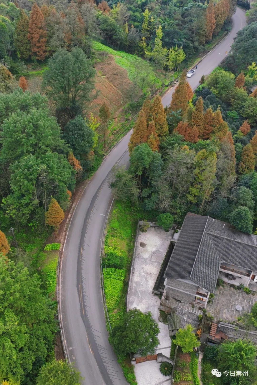 s,u,l,w.崇州这条路"会唱"字母歌