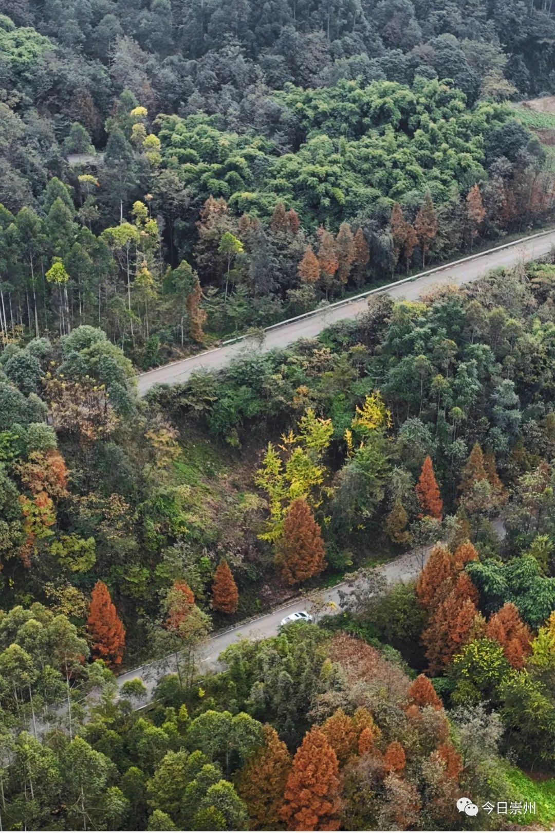 沿路而行感受季节独有的浪漫用镜头记录流连忘返的画面即刻出发一起去
