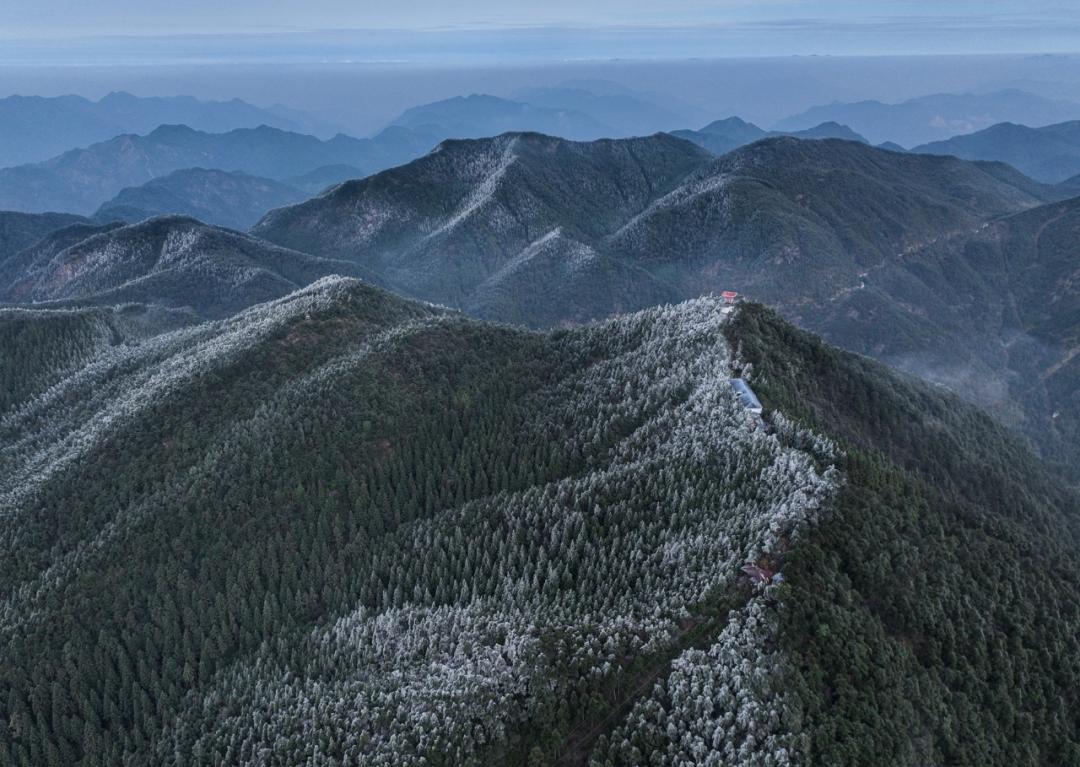 76 王安 攝在文成月老山景區漫山遍野