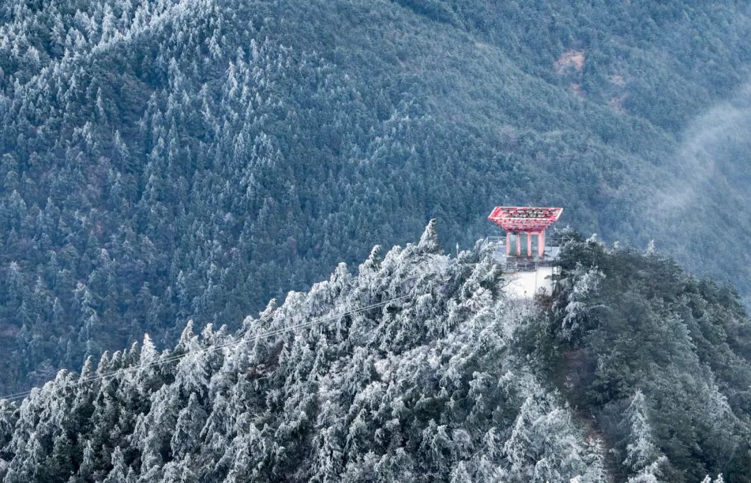 76 王安 攝在文成月老山景區漫山遍野