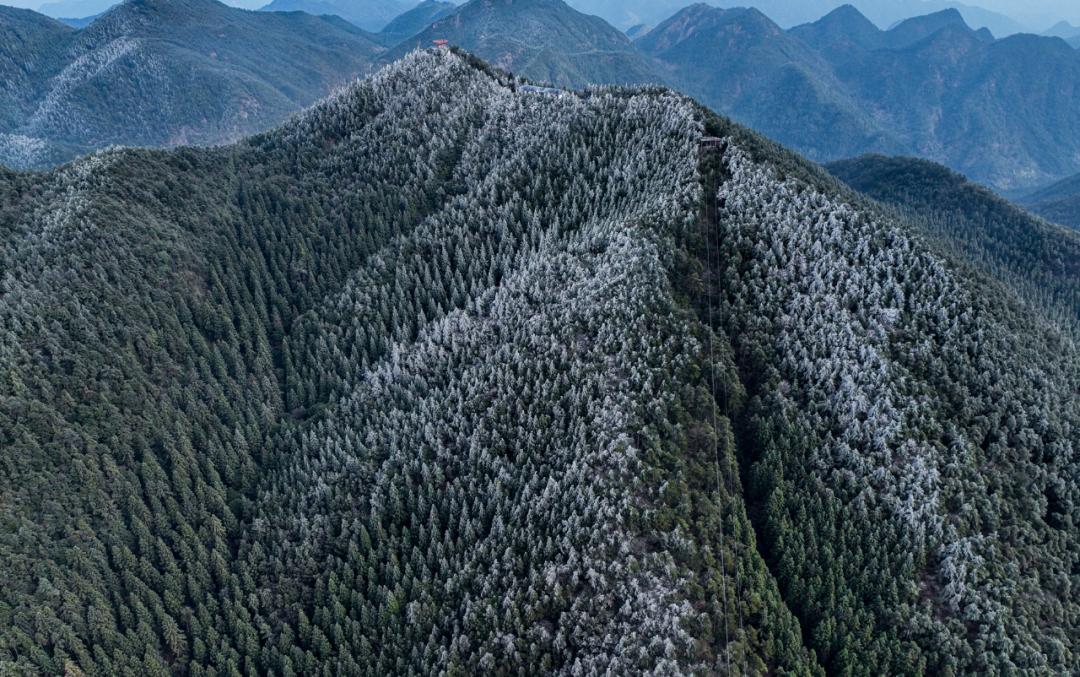 76 王安 攝在文成月老山景區漫山遍野