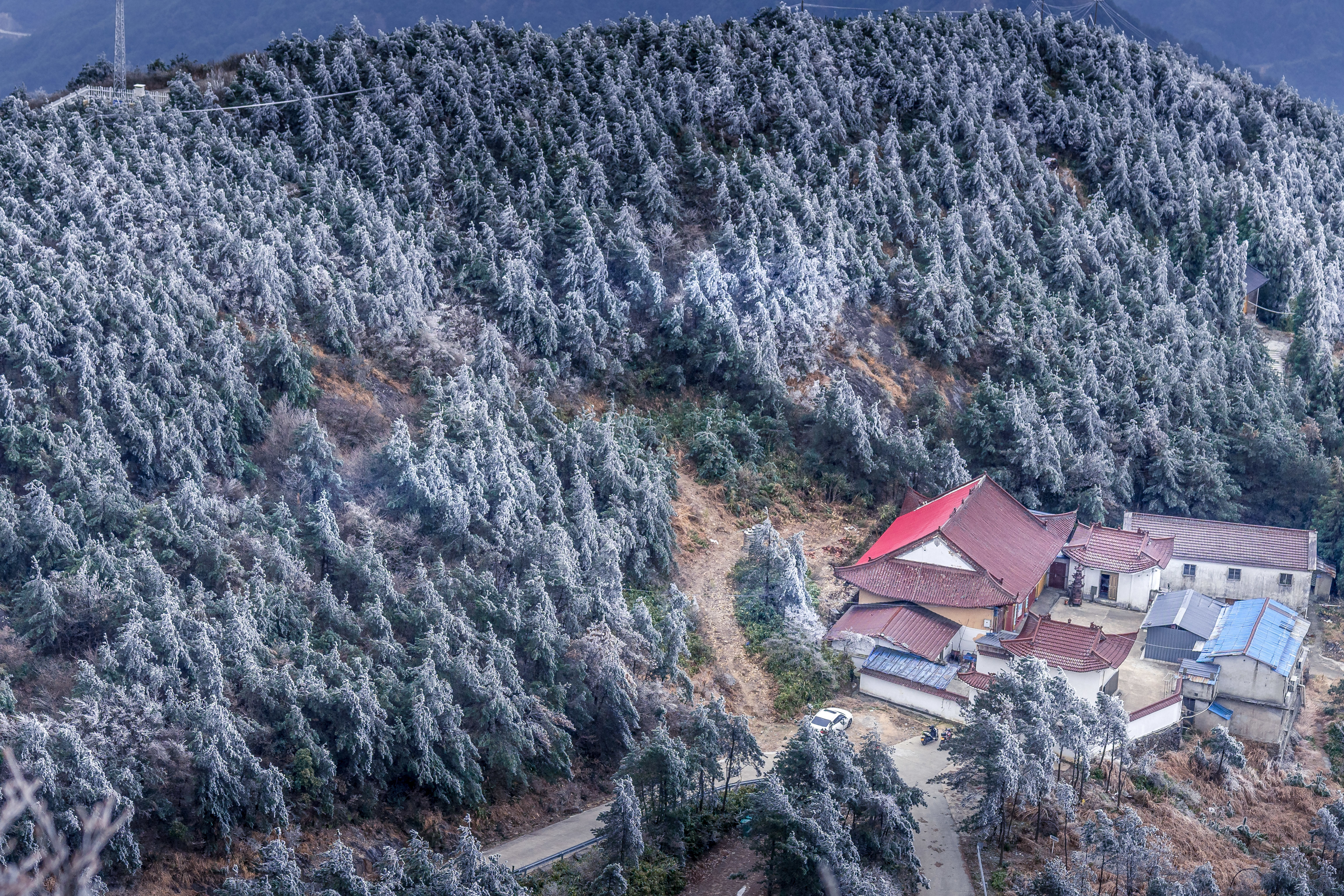 瑞安金鸡山雪景图片