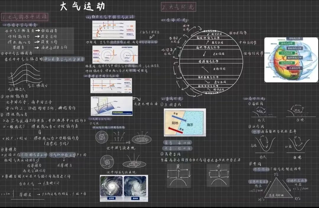 上岸武大後,他們這件事做得漂亮……_澎湃號·政務