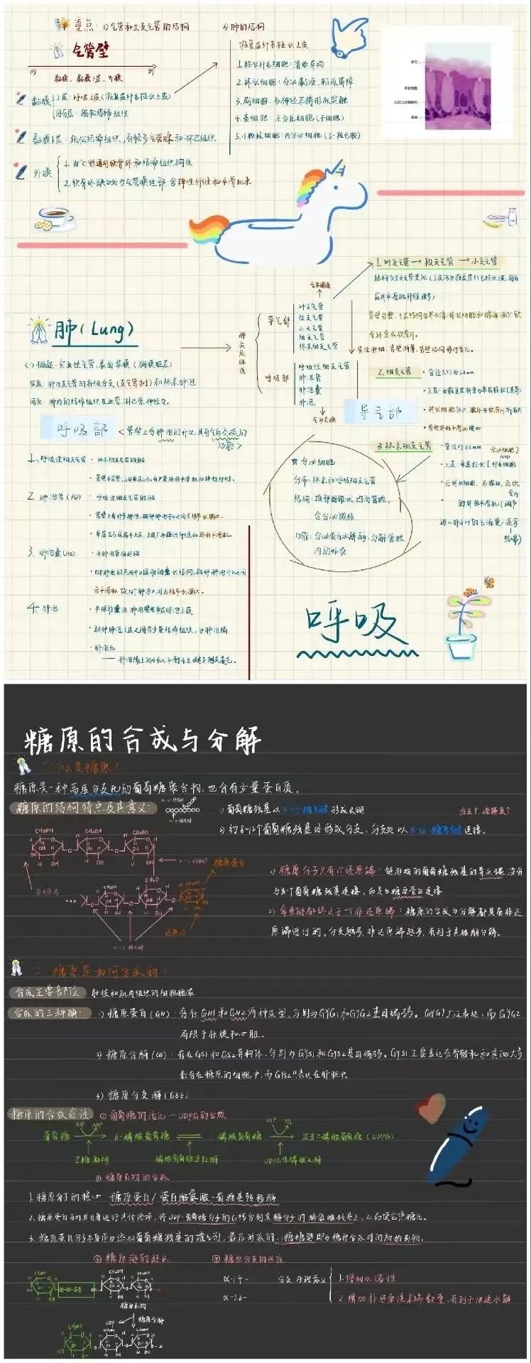 上岸武大後,他們這件事做得漂亮……_澎湃號·政務