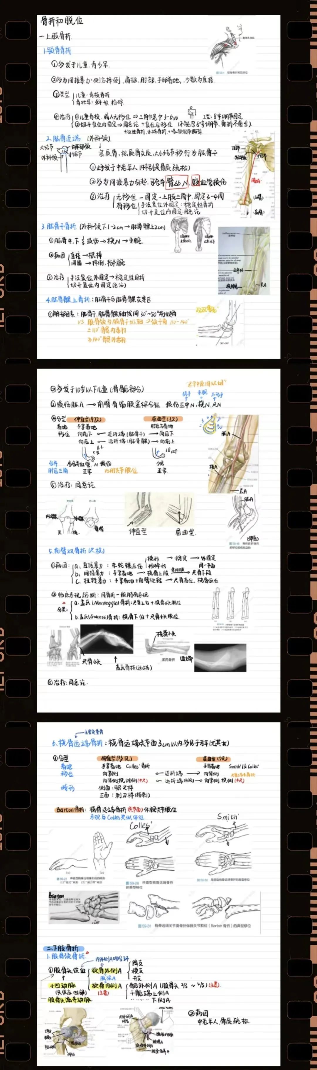 上岸武大後,他們這件事做得漂亮……_澎湃號·政務