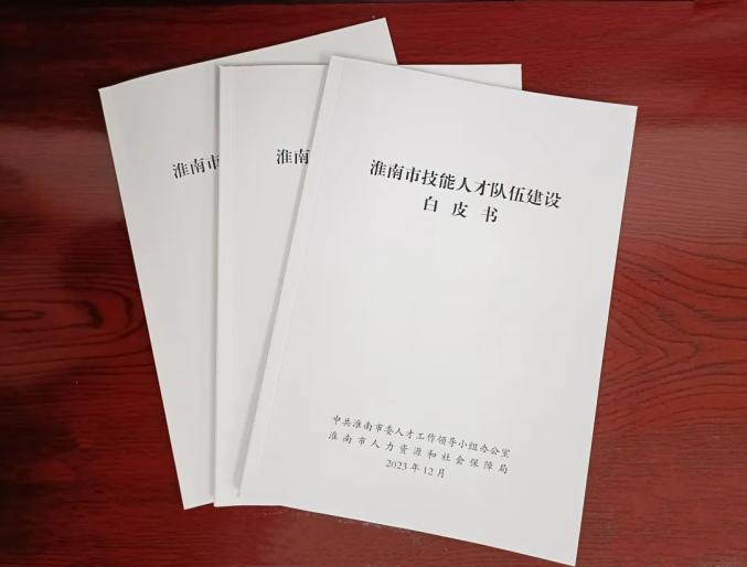 首部《淮南市技能人才隊伍建設白皮書》發佈!