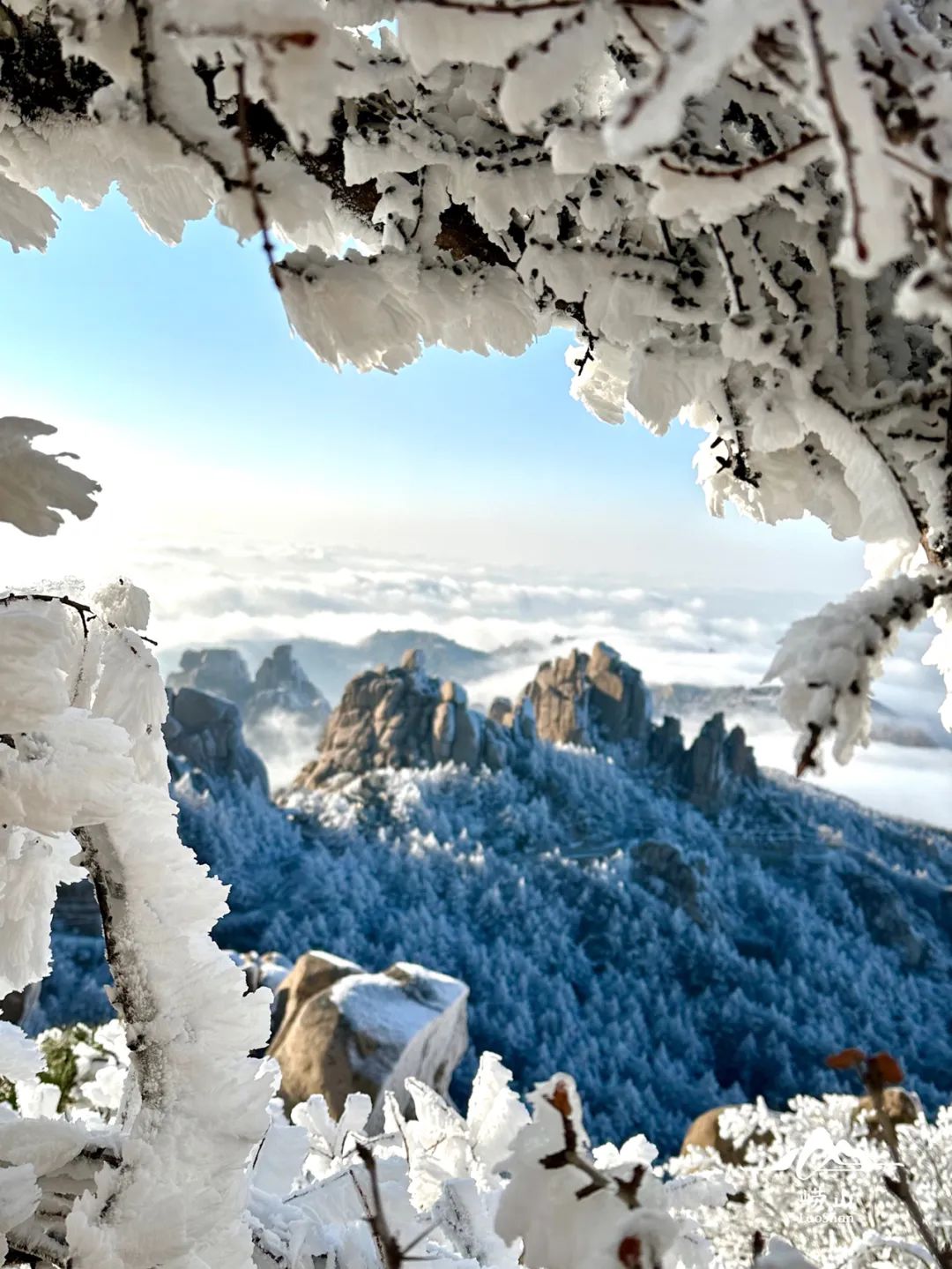 幽笛紅瓦綠樹的青島遇到皚皚白雪,在銀裝素裹中,竟顯得更加詩意與唯美