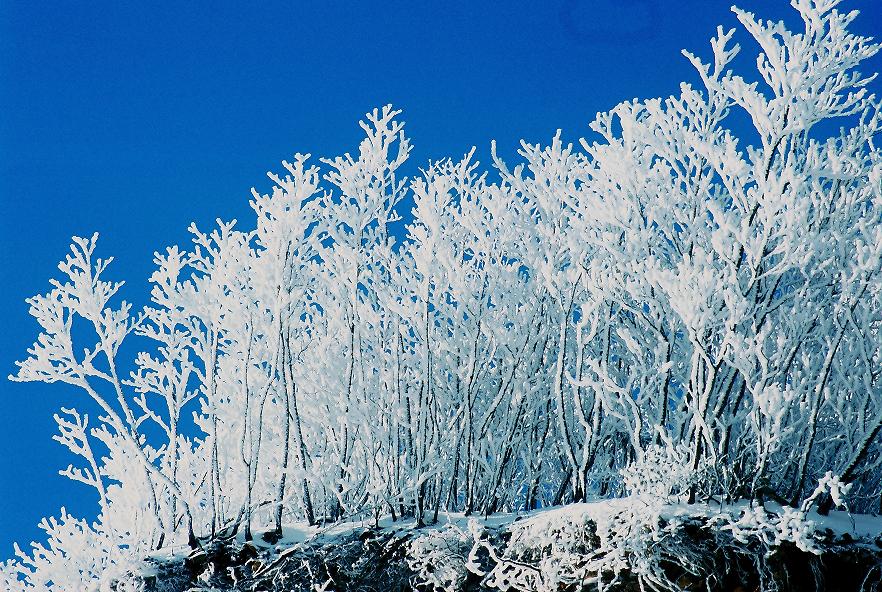 井冈山雪景图片