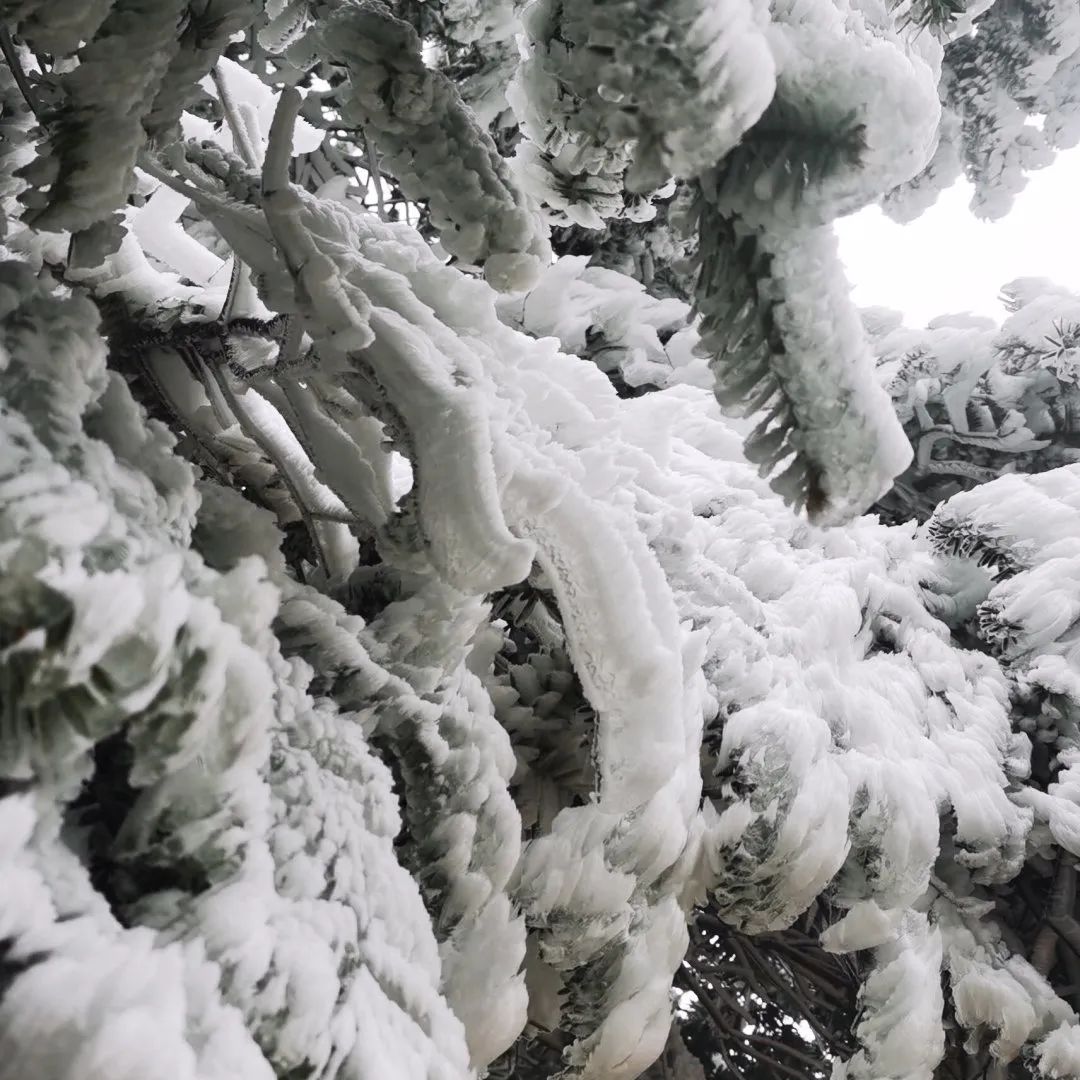 井冈山雪景图片