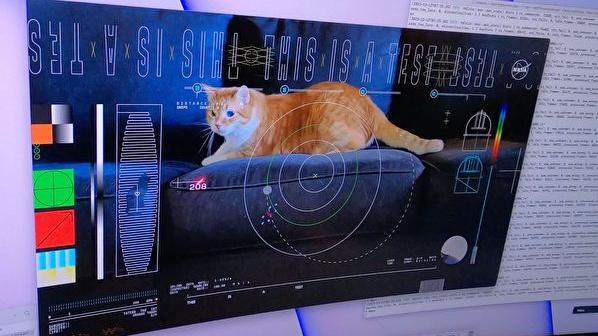 NASA将顽皮猫视频从深空传回地球，为何是大事