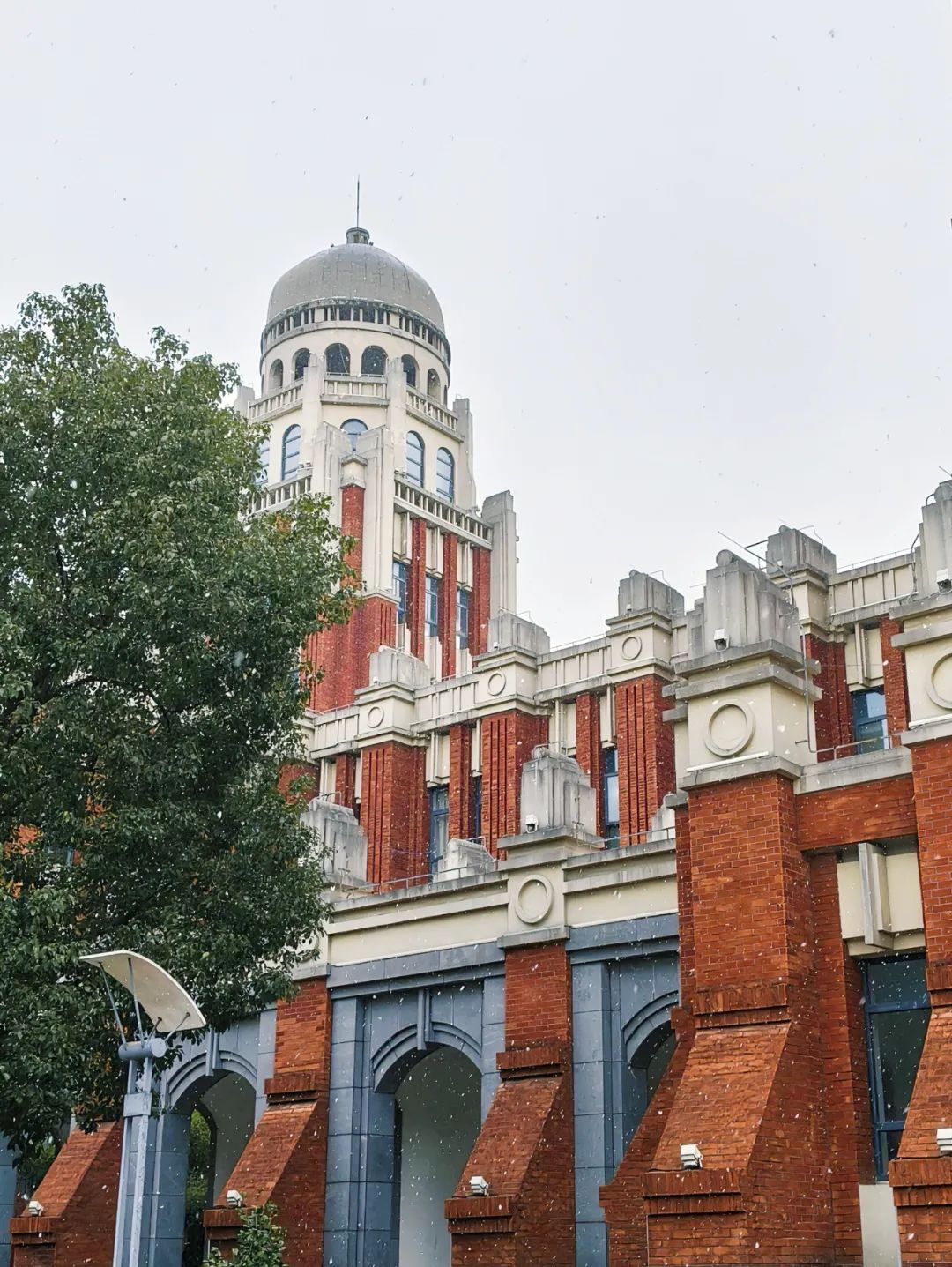 落雪~即时雪景图来袭错过美景的小伙伴们终于来了华政园的初雪今早下!