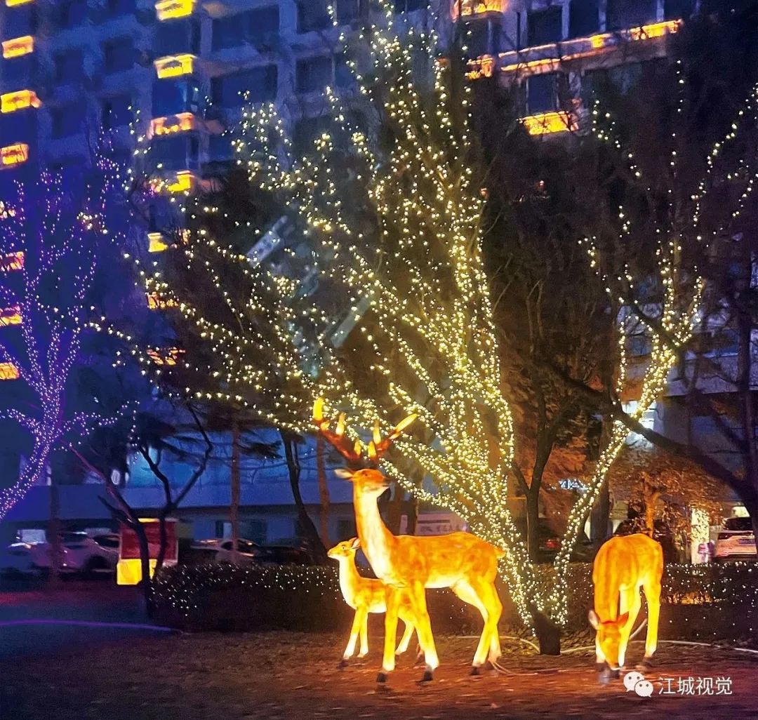 吉林市冬季夜景照片图片