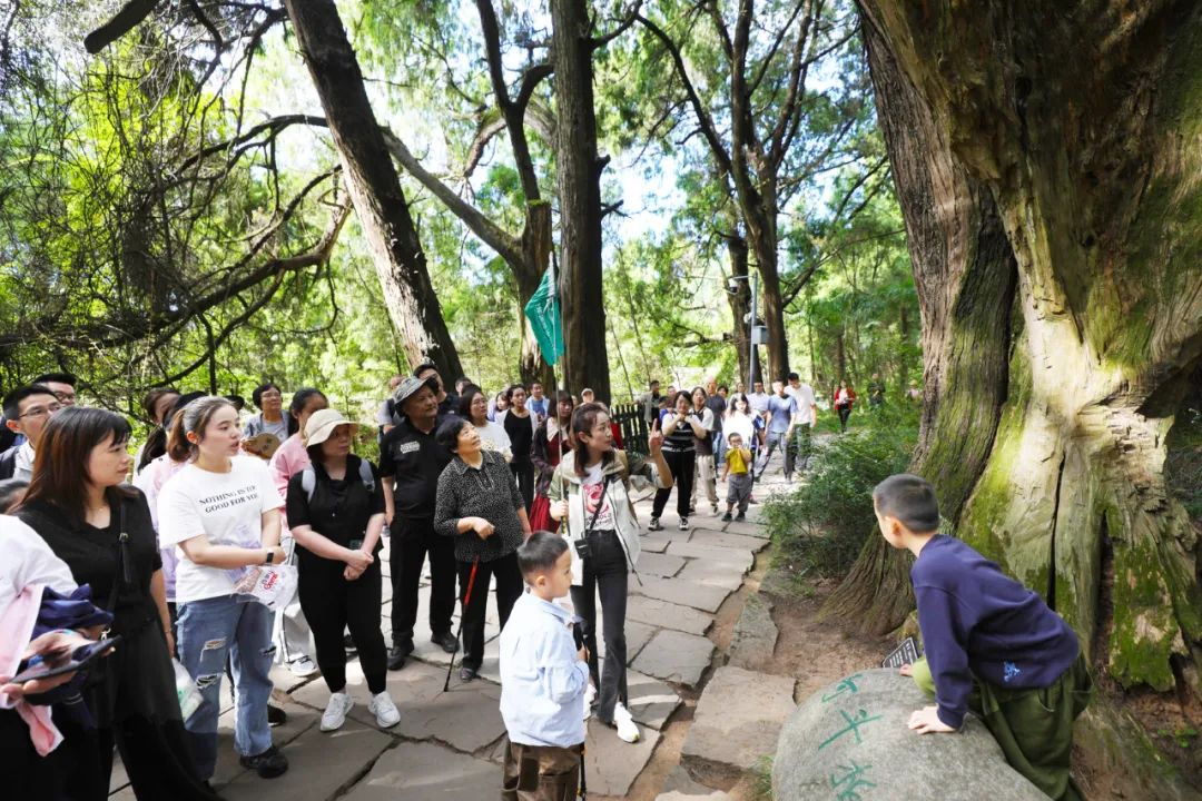 即日起至元旦劍門關翠雲廊景區網絡預約門票試行實名制