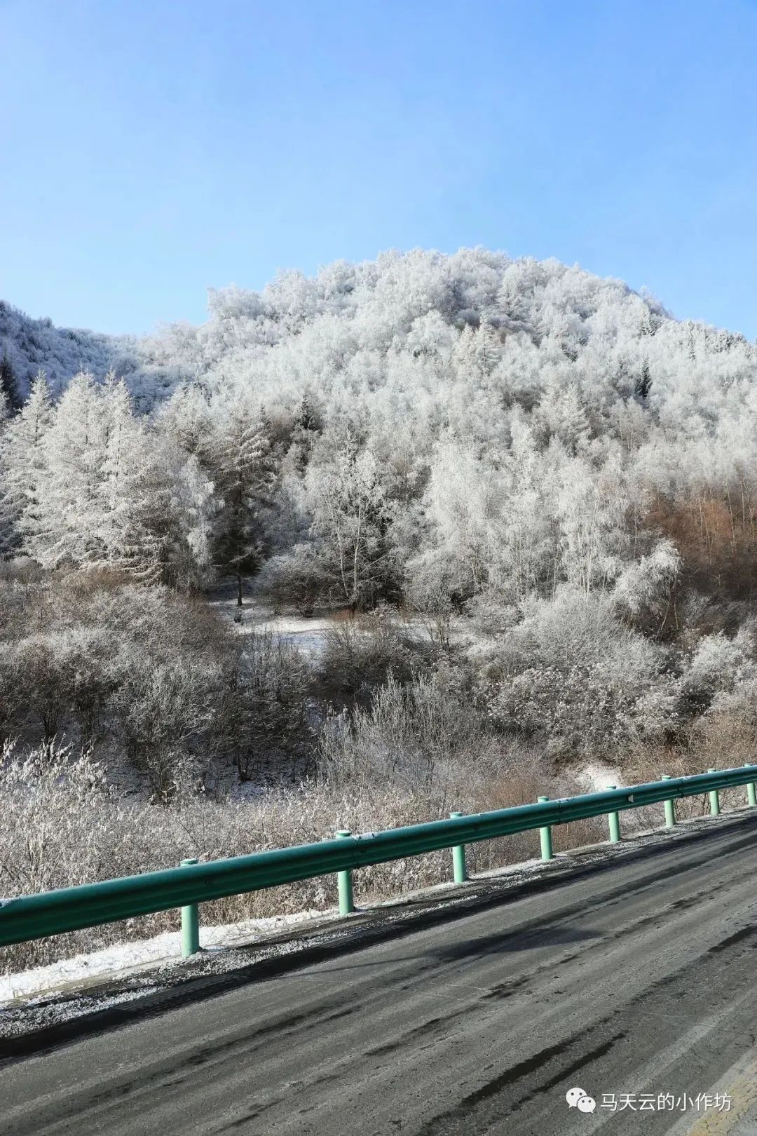 漳县分水岭雾凇