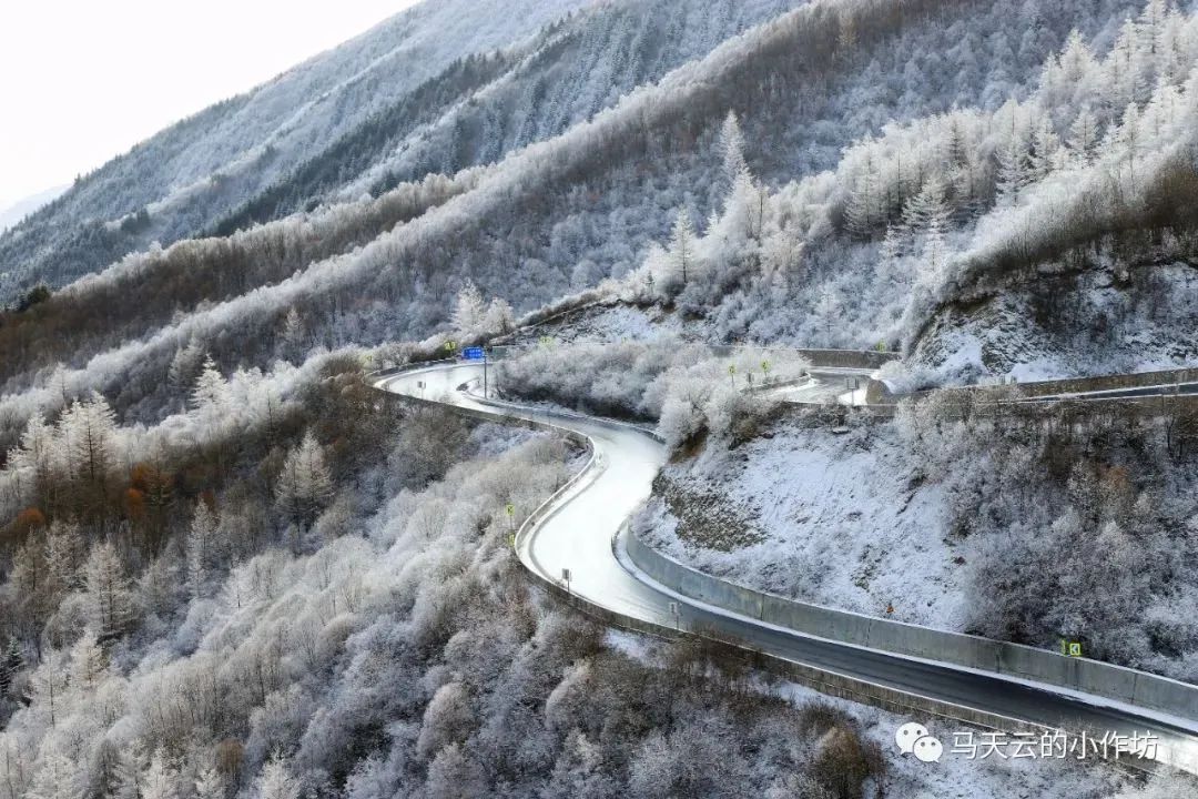 漳县分水岭雾凇