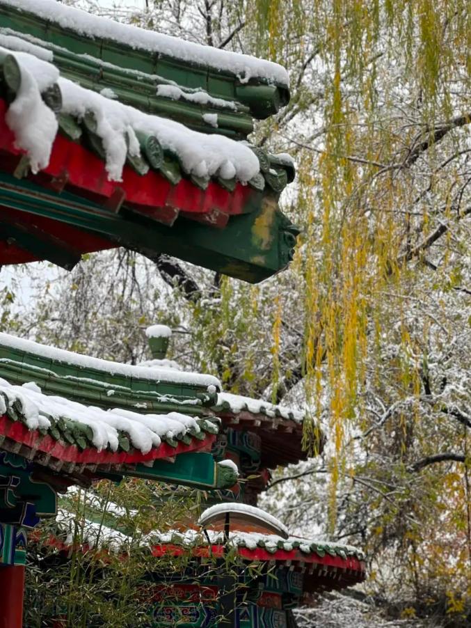 红墙白雪,岁月满苍苔图片