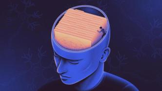大脑记忆收纳术：有用没用，分开存储？