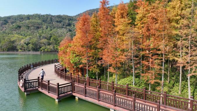 【绿美新会】水文旅融合发展的靓丽名片!新会这个"童话世界"太美了!