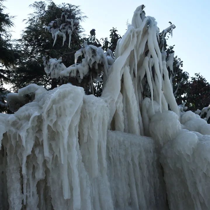 受冷空气影响,宿迁湖滨新区骆马湖畔形成造型各异的冰凌世界景观,吸引