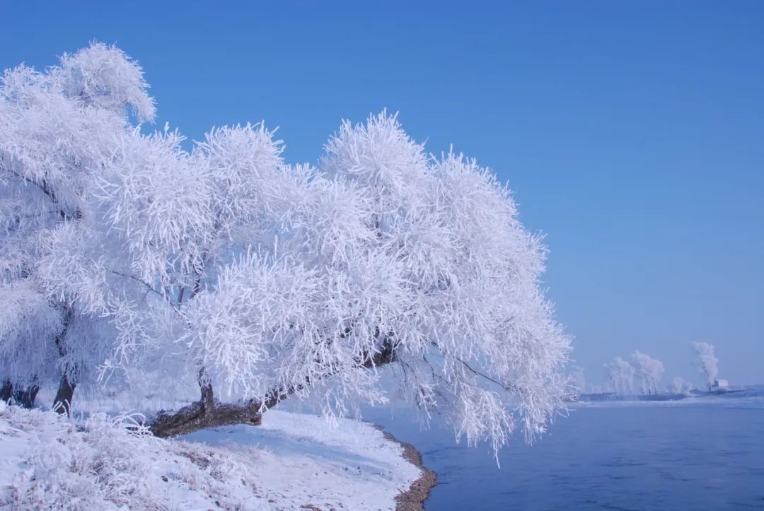 風景區長春冰雪新天地琿春防川景區露水河國家森林公園延邊老裡克湖