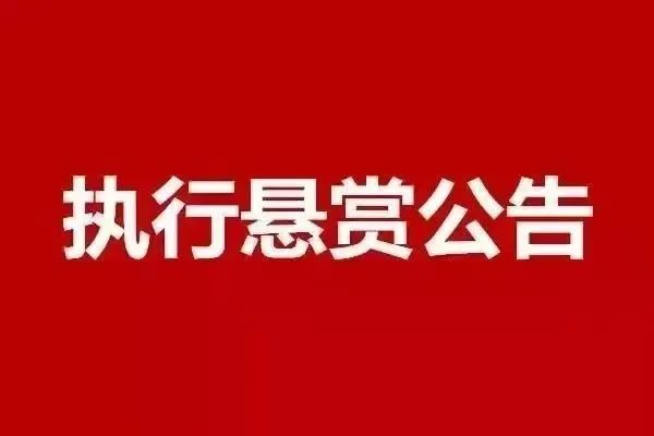 《最高人民法院關於民事執行中財產調查若干問題的規定》第二十二條之