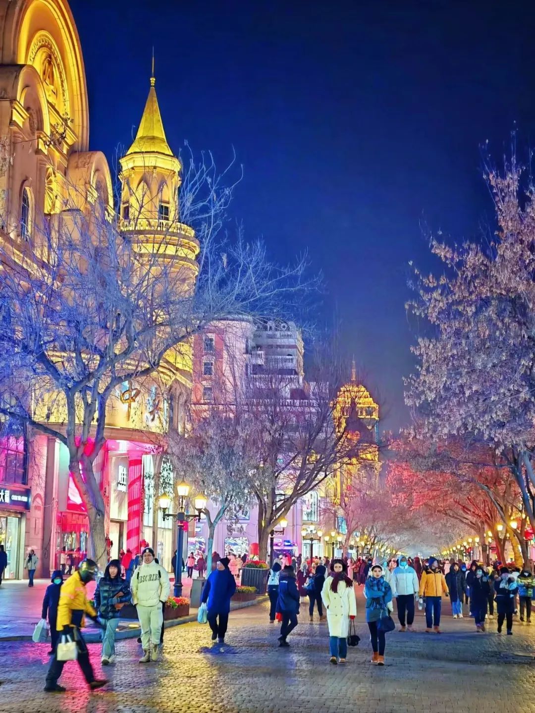 自驾出行的车辆停放可在中央大街与尚志大街之间的多条路边停车泊位