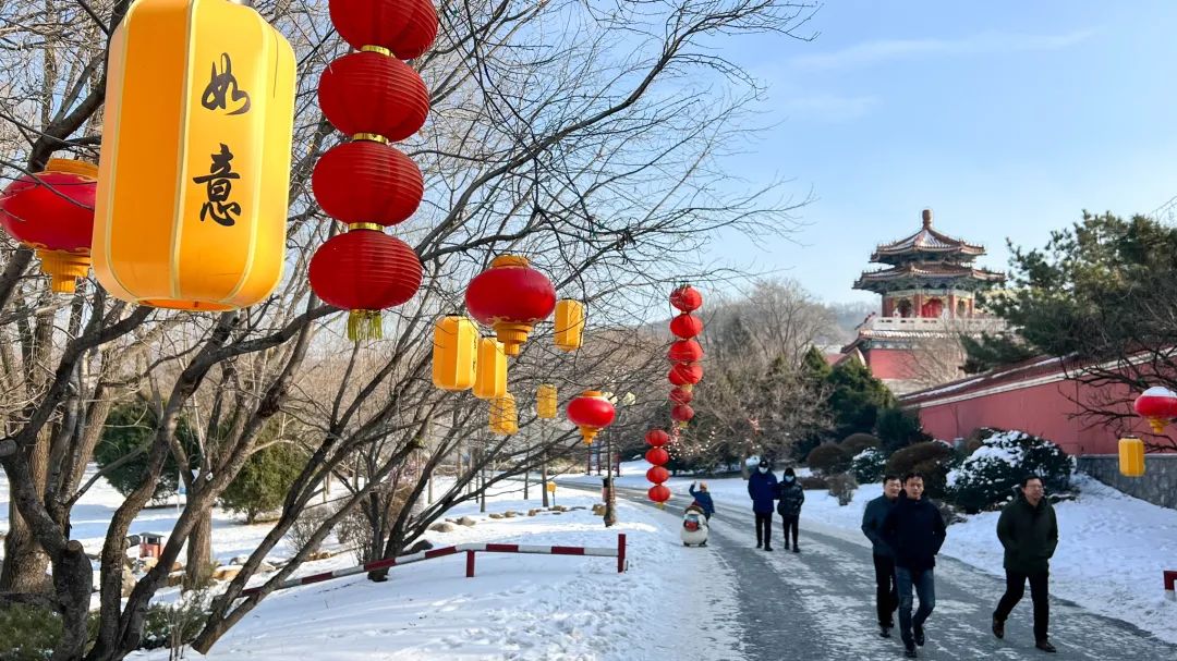 鞍山下雪图片图片