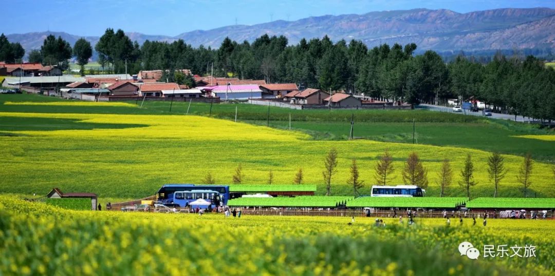 發展鄉村旅遊繪就樂遊民樂新篇章民樂縣創建省級鄉村旅遊示範縣紀實