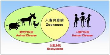 【科普】地震災害後要謹防人畜共患病!