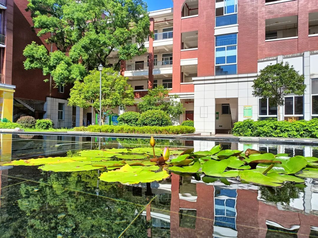 雨花区枫树山莲湖小学图片