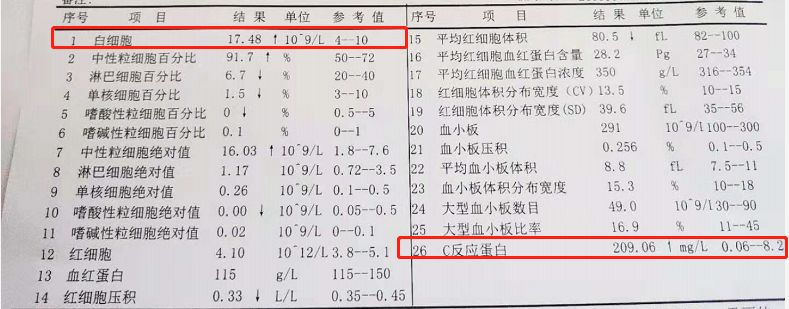 如上圖,白細胞和c反應蛋白明顯升高,可以看出已經是很嚴重的細菌感染