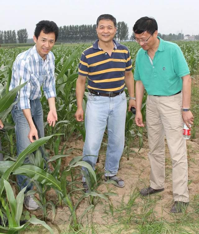 李毅| 阻击植物病毒的"幕后先锋"_澎湃号·政务_澎湃新闻-the paper