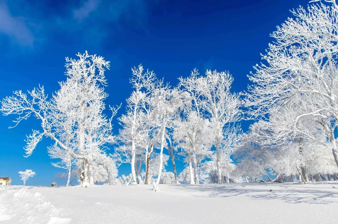 千里冰封,万里雪飘,冬日的山城通化,冰雪造就出动人心魄的浩瀚胜景.