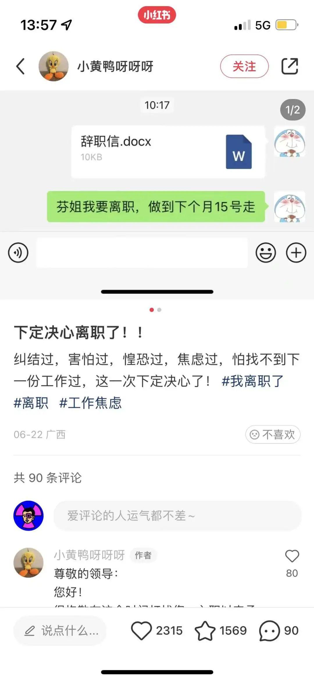 比如精神不穩定的00後,辭職報告裡可能只有一張