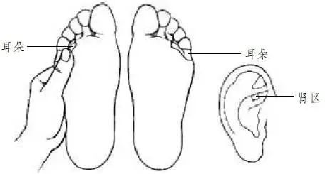 64.jpg