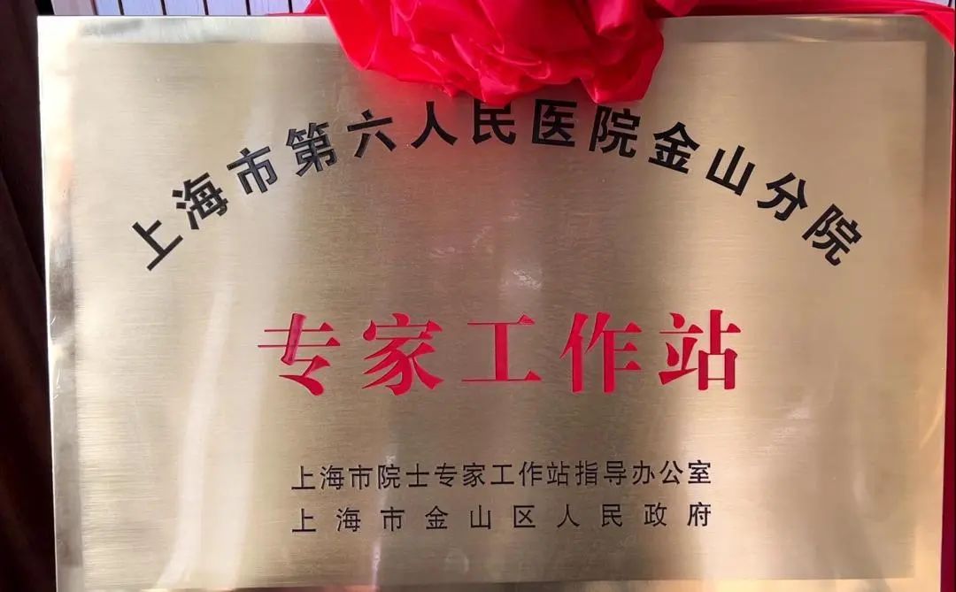 上海市第六人民医院金山分院市级专家工作站揭牌_澎湃号·政务_澎湃