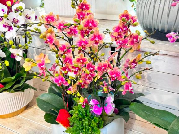 "花"样迎新,新年仪式感从这里开始_澎湃号·政务_澎湃新闻-the paper