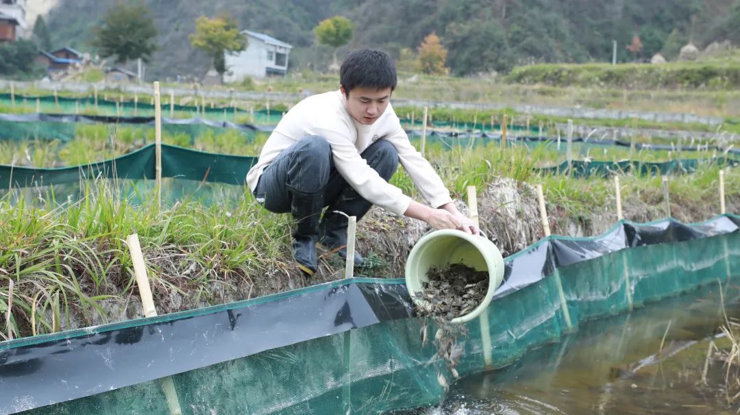 澎湃號·政務_澎湃新聞-the paper