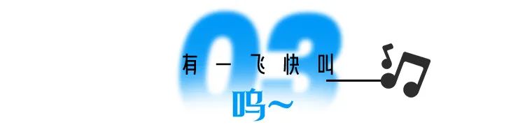 為夢想,再奔赴,成都值得_澎湃號·湃客_澎湃新聞-the paper