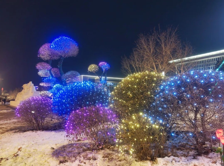 本着简洁实用,美观大方,节能环保的原则,此次亮化工作将城市绿化景观