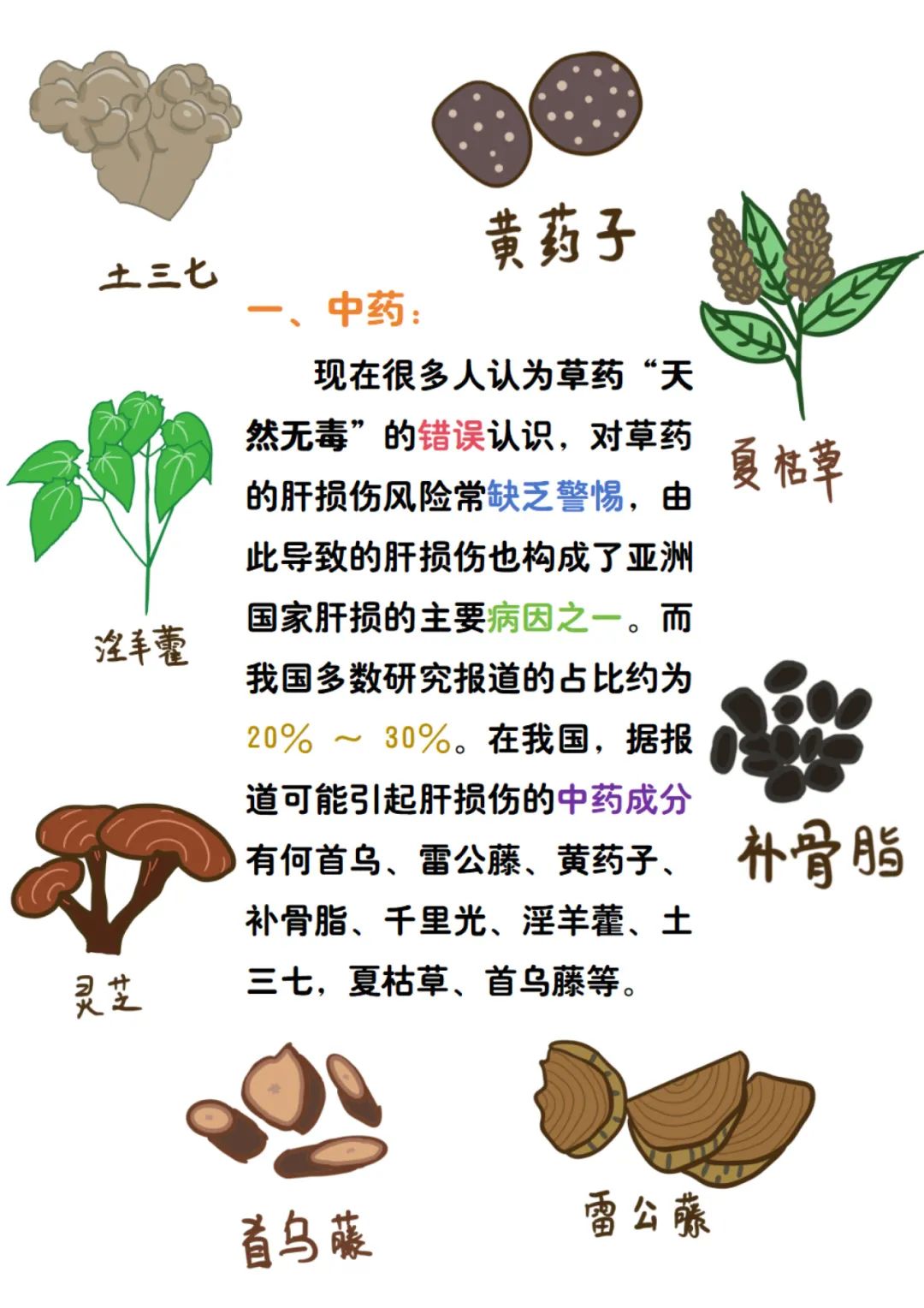 公卫·科普丨当心"吃"出药物性肝损伤_澎湃号·政务_澎湃新闻-the