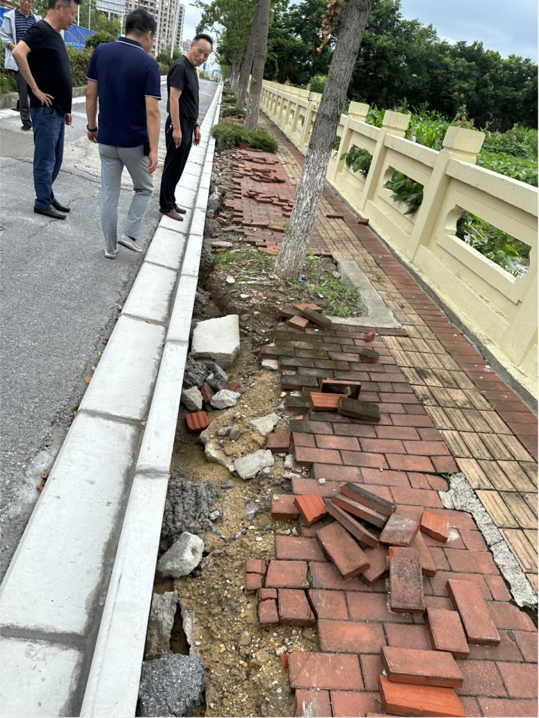 让城市的“毛细血管”更有颜值和品质!青浦又有2条公路完成改造→_澎湃号·政务_澎湃新闻-The Paper