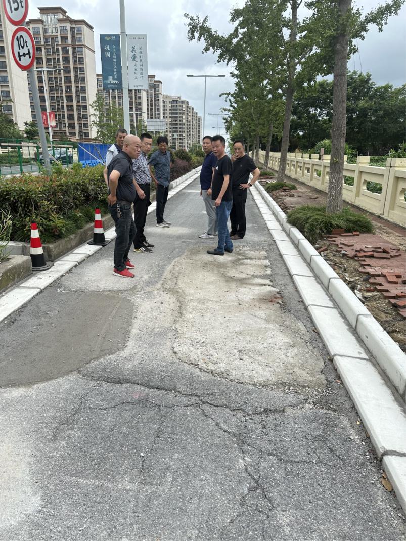 让城市的“毛细血管”更有颜值和品质!青浦又有2条公路完成改造→_澎湃号·政务_澎湃新闻-The Paper